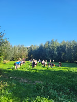Yoga in het gras